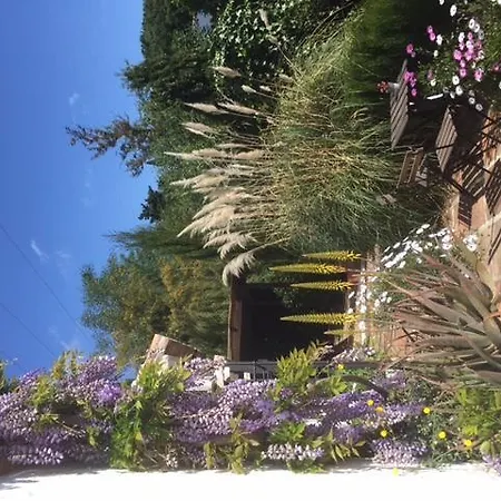 Finca La Tierra - Adults Only