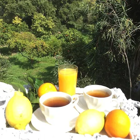 Bed & Breakfast Finca La Tierra - Adults Only *