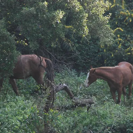 Finca La Tierra - Adults Only *