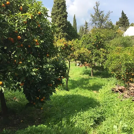 Finca La Tierra - Adults Only Bed & Breakfast *