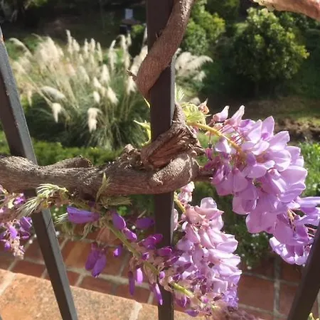 Bed & Breakfast Finca La Tierra - Adults Only Mijas