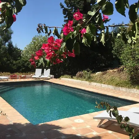 Bed & Breakfast Finca La Tierra - Adults Only *